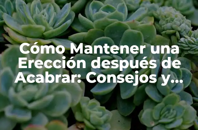 Cómo Mantener una Erección Después de Acabrar: Consejos y Estrategias