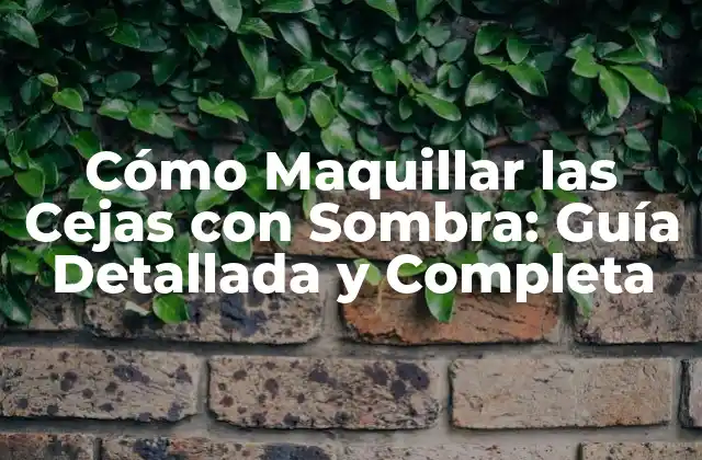 Cómo Maquillar las Cejas con Sombra: Guía Detallada y Completa