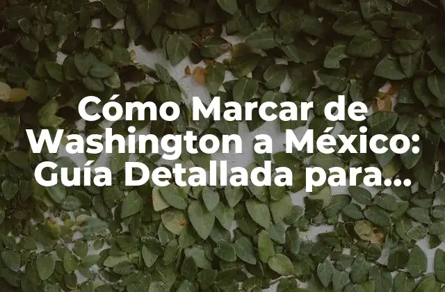 Cómo Marcar de Washington a México: Guía Detallada para Viajar