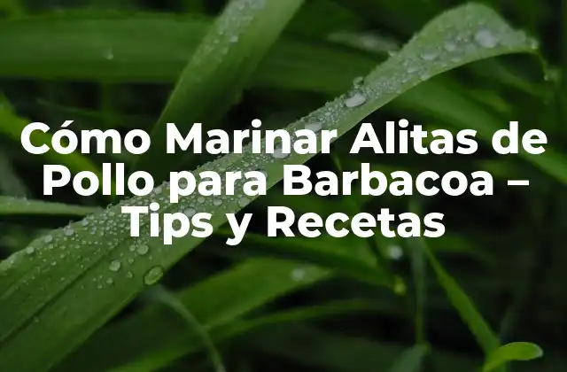 Cómo Marinar Alitas de Pollo para Barbacoa – Tips y Recetas