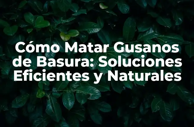 Cómo Matar Gusanos de Basura: Soluciones Eficientes y Naturales 2 ¿Por qué es Importante Eliminar los Gusanos de Basura?