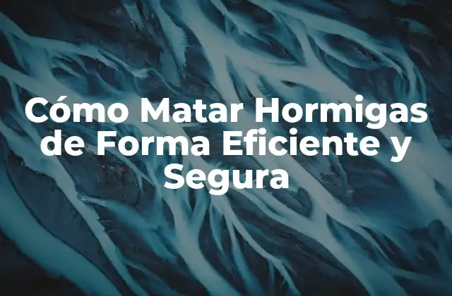 Cómo Matar Hormigas de Forma Eficiente y Segura