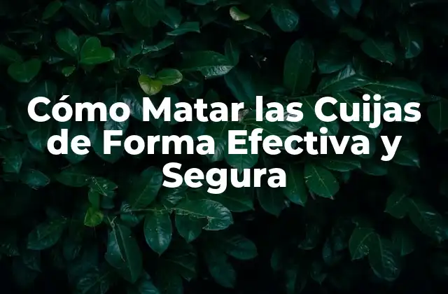 Cómo Matar las Cuijas de Forma Efectiva y Segura