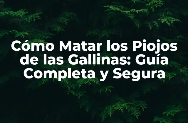 Cómo Matar los Piojos de las Gallinas: Guía Completa y Segura