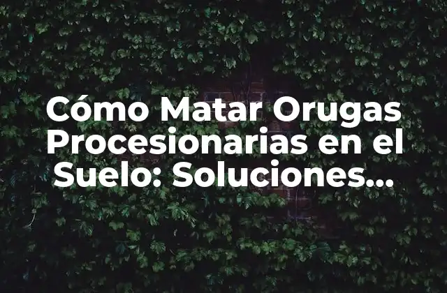 Cómo Matar Orugas Procesionarias en el Suelo: Soluciones Eficientes