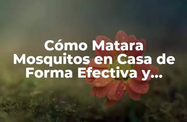 Cómo Matara Mosquitos en Casa de Forma Efectiva y Segura