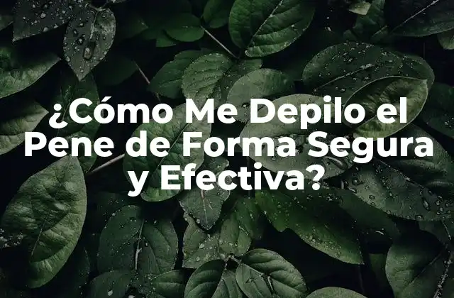 ¿cómo Me Depilo el Pene de Forma Segura y Efectiva?