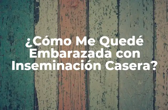 ¿cómo Me Quedé Embarazada con Inseminación Casera?