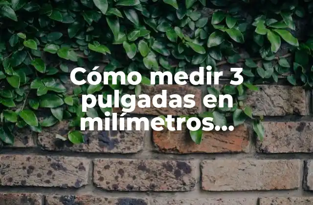 La importancia de la precisión en la conversión de unidades