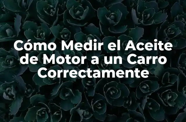 ¿Por qué es Importante Medir el Aceite de Motor?