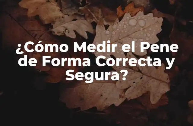 ¿cómo Medir el Pene de Forma Correcta y Segura?