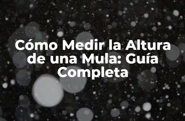 Cómo Medir la Altura de una Mula: Guía Completa
