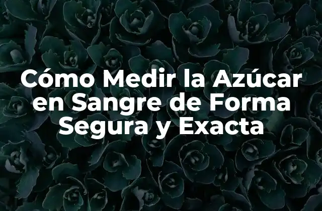 Cómo Medir la Azúcar en Sangre de Forma Segura y Exacta