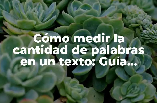 Cómo Medir la Cantidad de Palabras en un Texto: Guía Definitiva