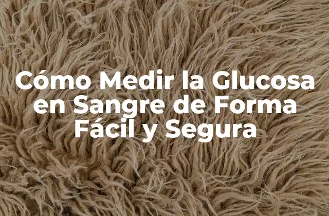 Cómo Medir la Glucosa en Sangre de Forma Fácil y Segura