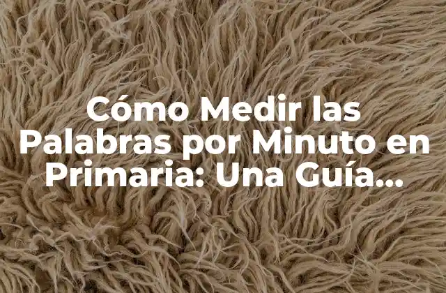 Cómo Medir las Palabras por Minuto en Primaria: una Guía Completa