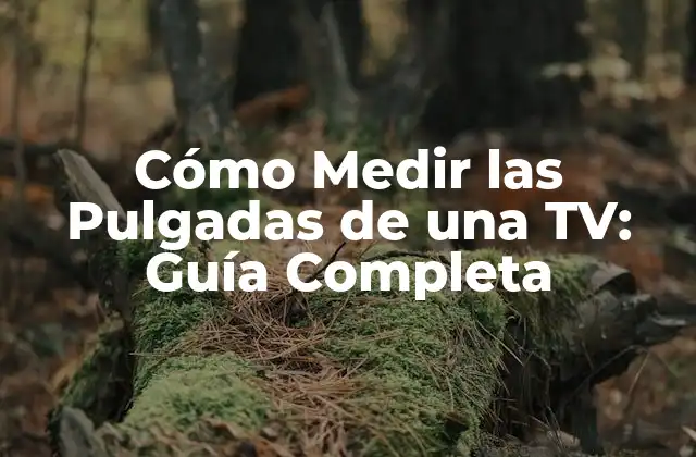 Cómo Medir las Pulgadas de una Tv: Guía Completa