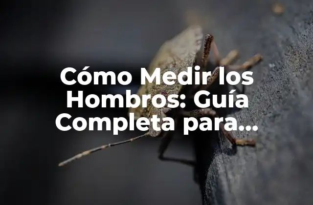 Cómo Medir los Hombros: Guía Completa para Encontrar el Tamaño Perfecto