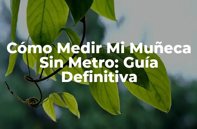 Cómo Medir Mi Muñeca sin Metro: Guía Definitiva