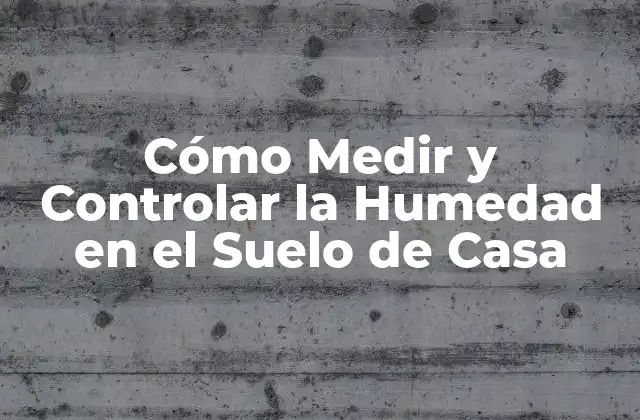 Cómo Medir y Controlar la Humedad en el Suelo de Casa