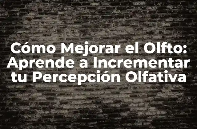 ¿Por qué Es Importante Mejorar el Olfto?