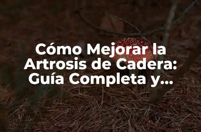 Cómo Mejorar la Artrosis de Cadera: Guía Completa y Actualizada