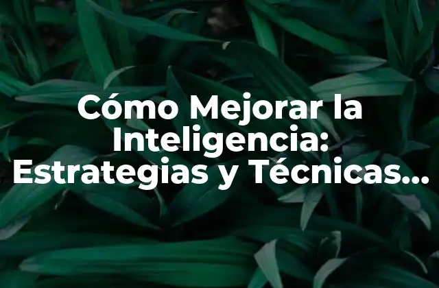 Cómo Mejorar la Inteligencia: Estrategias y Técnicas para Incrementar Tu Cociente Intelectual