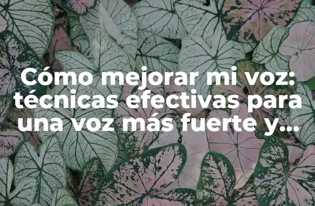 Cómo Mejorar Mi Voz: Técnicas Efectivas para una Voz Más Fuerte y Segura