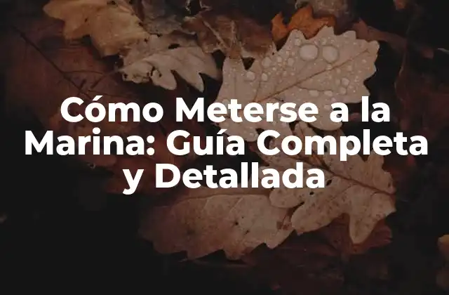 Cómo Meterse a la Marina: Guía Completa y Detallada