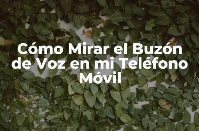 Cómo Mirar el Buzón de Voz en Mi Teléfono Móvil 2 ¿Qué es el Buzón de Voz y Cómo Funciona?