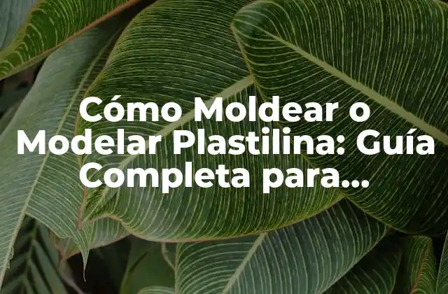 Cómo Moldear o Modelar Plastilina: Guía Completa para Principiantes