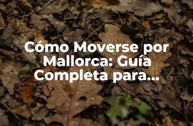 Cómo Moverse por Mallorca: Guía Completa para Explorar la Isla
