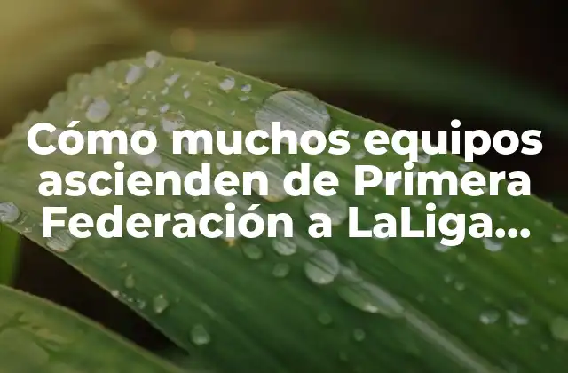 Cómo Muchos Equipos Ascienden de Primera Federación a Laliga Cada Temporada