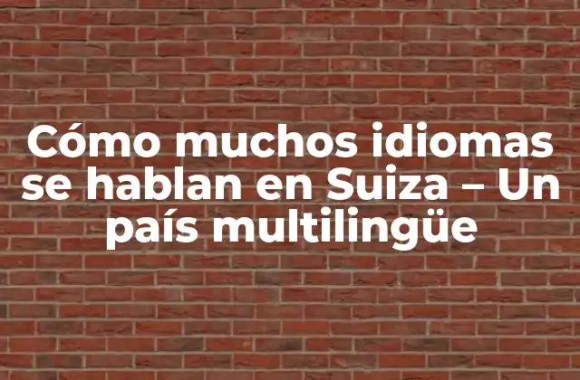 Cómo Muchos Idiomas Se Hablan en Suiza – un País Multilingüe