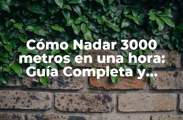 Cómo Nadar 3000 Metros en una Hora: Guía Completa y Detallada