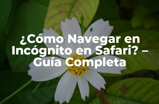¿cómo Navegar en Incógnito en Safari? – Guía Completa