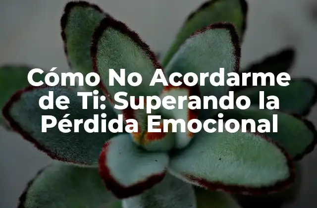 Cómo No Acordarme de Ti: Superando la Pérdida Emocional 2 ¿Por qué es tan difícil olvidar?