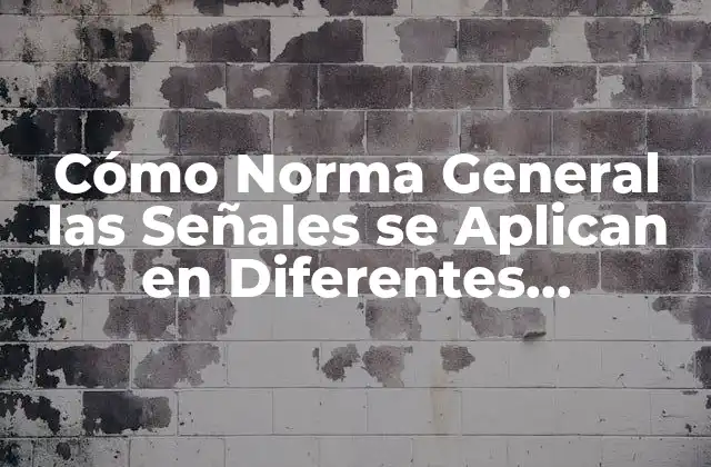 Cómo Norma General las Señales Se Aplican en Diferentes Contextos