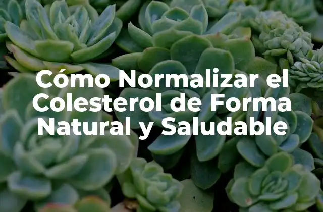 Cómo Normalizar el Colesterol de Forma Natural y Saludable