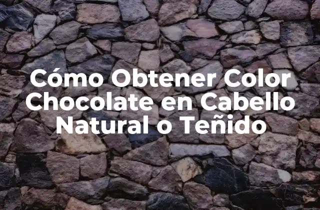 Cómo Obtener Color Chocolate en Cabello Natural o Teñido