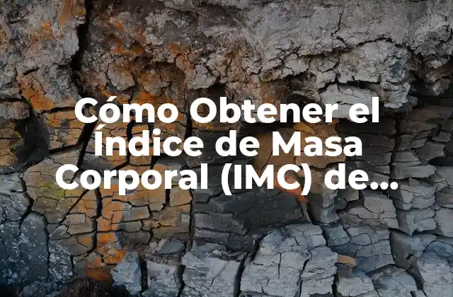 Cómo Obtener el Índice de Masa Corporal (imc) de Forma Sencilla