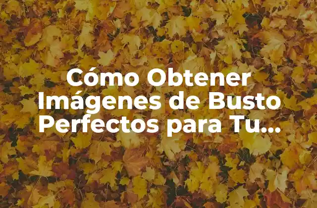 Cómo Obtener Imágenes de Busto Perfectos para Tu Fotografía