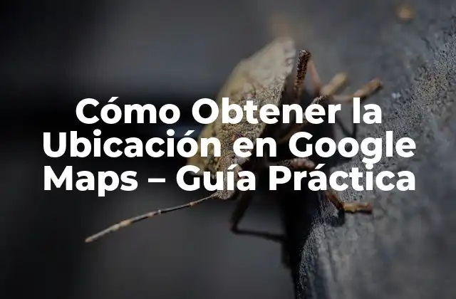 Cómo Obtener la Ubicación en Google Maps – Guía Práctica