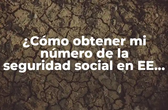 ¿Por qué necesito un número de seguridad social?