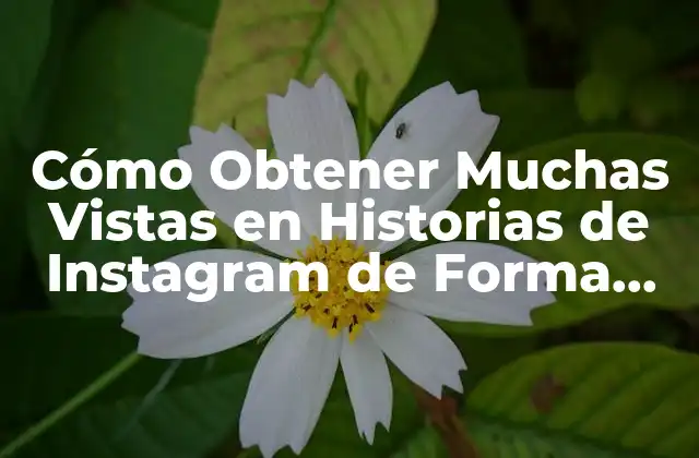 Cómo Obtener Muchas Vistas en Historias de Instagram de Forma Gratuita y Efectiva