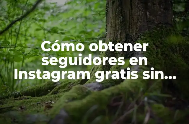 Cómo Obtener Seguidores en Instagram Gratis sin Comprarlos 2 ¿Por qué es importante tener seguidores en Instagram?