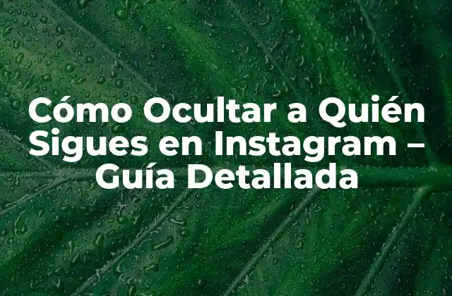 Cómo Ocultar a Quién Sigues en Instagram – Guía Detallada