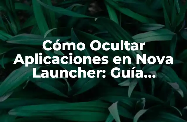Cómo Ocultar Aplicaciones en Nova Launcher: Guía Completa