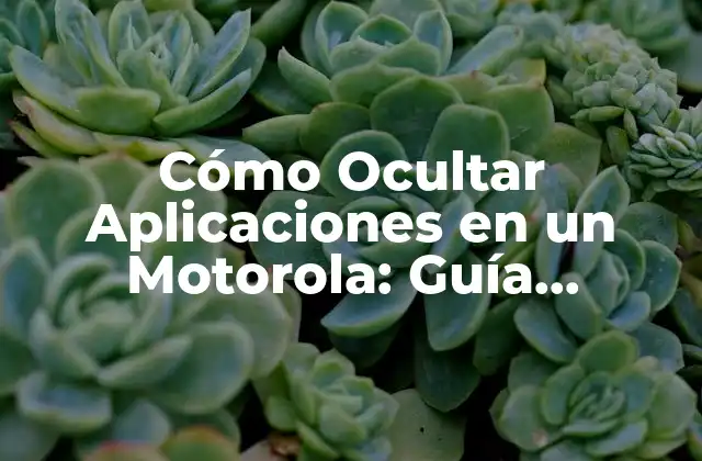 Cómo Ocultar Aplicaciones en un Motorola: Guía Detallada para la Privacidad