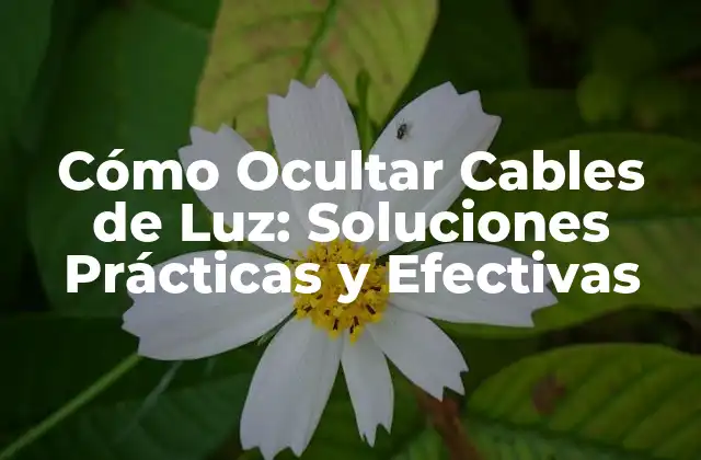 Cómo Ocultar Cables de Luz: Soluciones Prácticas y Efectivas